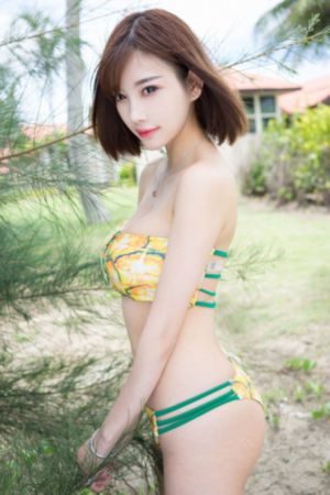 好运家电视剧免费观看_4K高清完整版播放